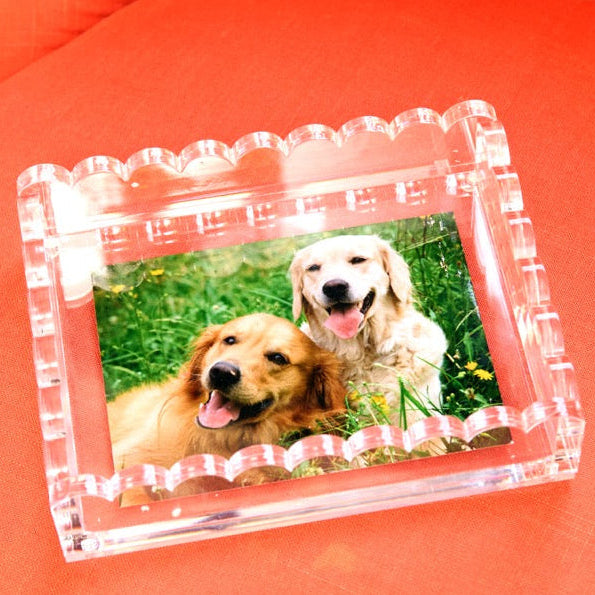 TRAY - SCALLOP -  CLEAR PHOTO