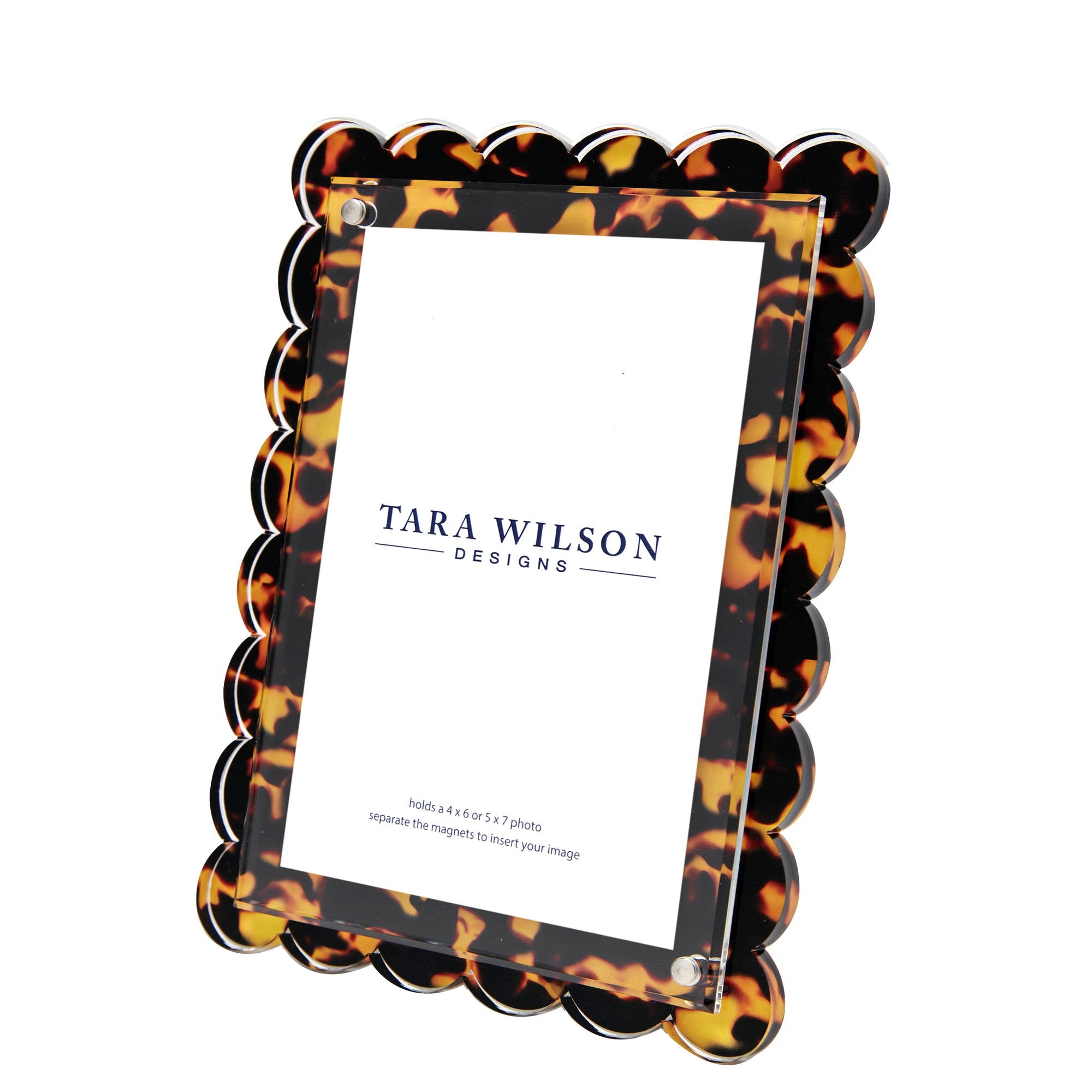 SCALLOP FRAME - TORTOISE