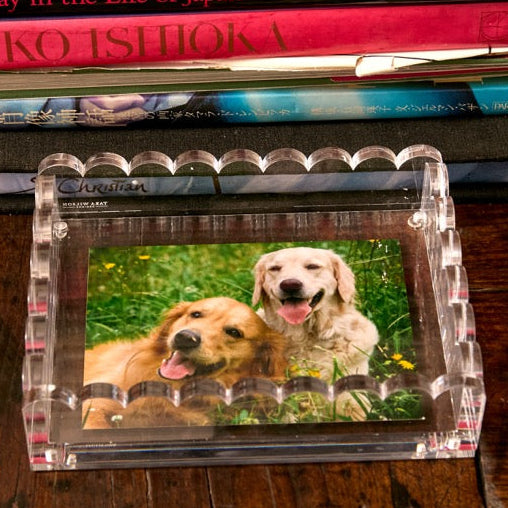 TRAY - SCALLOP -  CLEAR PHOTO