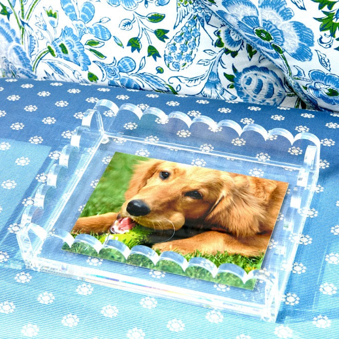 TRAY - SCALLOP -  CLEAR PHOTO