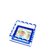 SCALLOP PHOTO TRAY - SMALL - BLUE