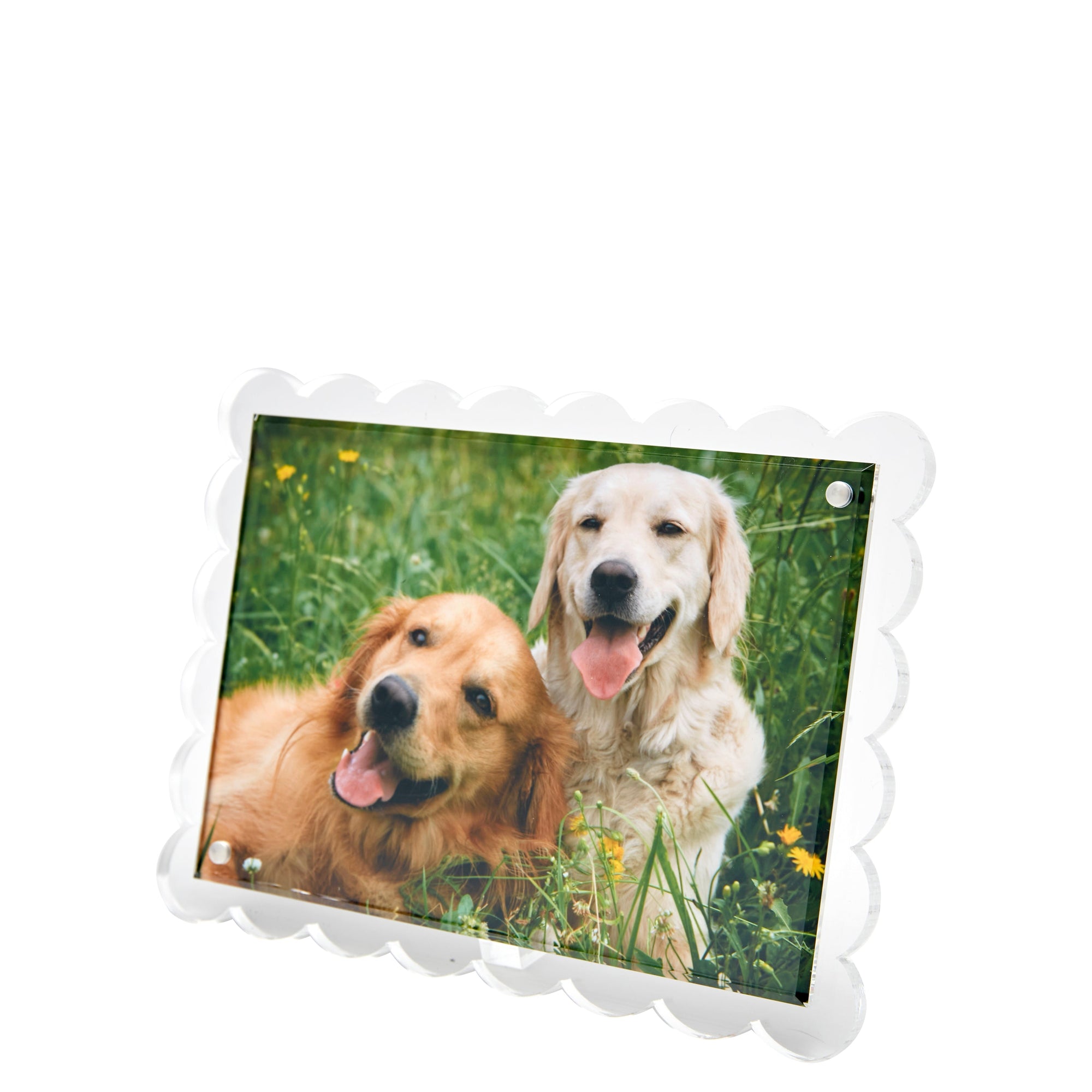 SCALLOP FRAME - CLEAR