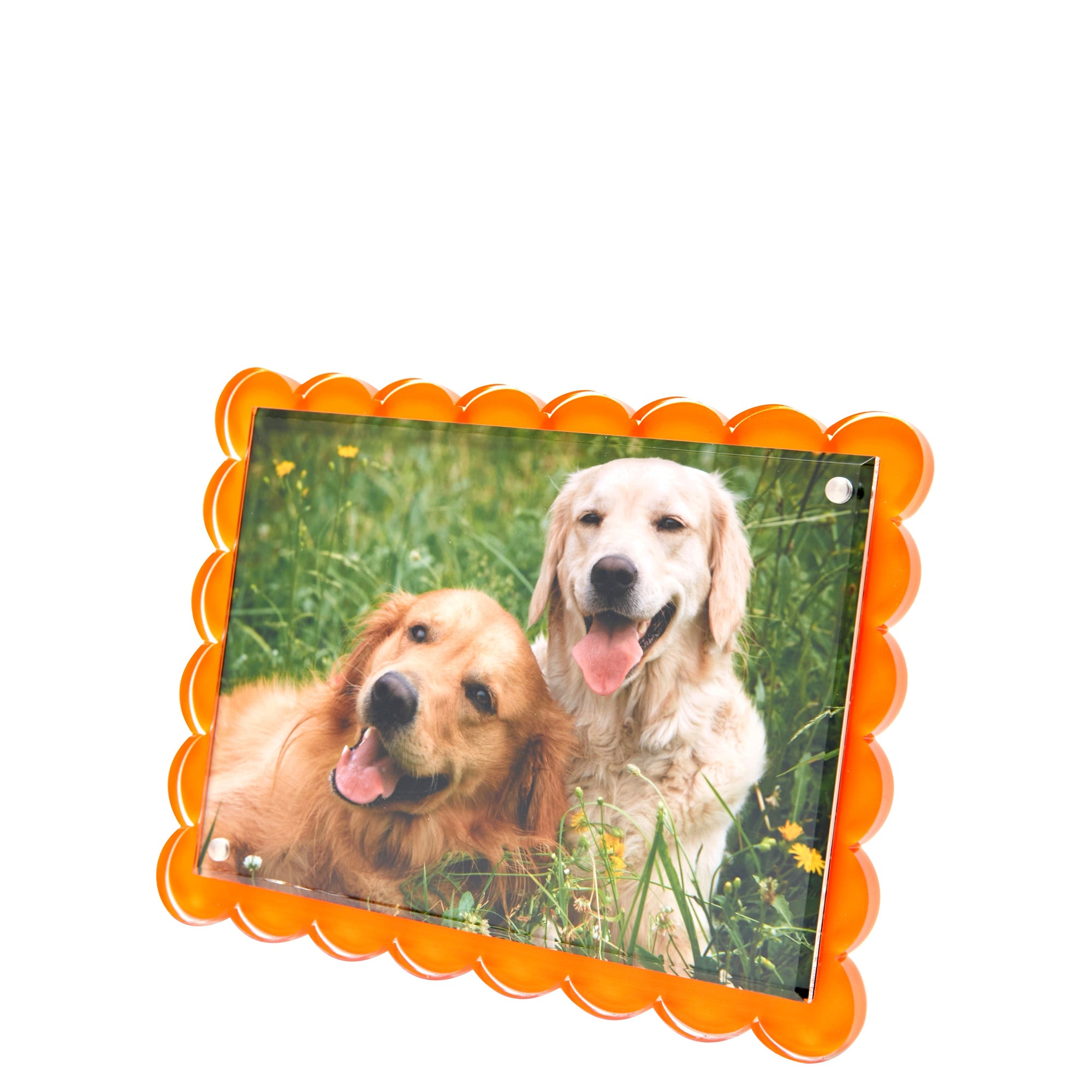 SCALLOP FRAME - ORANGE