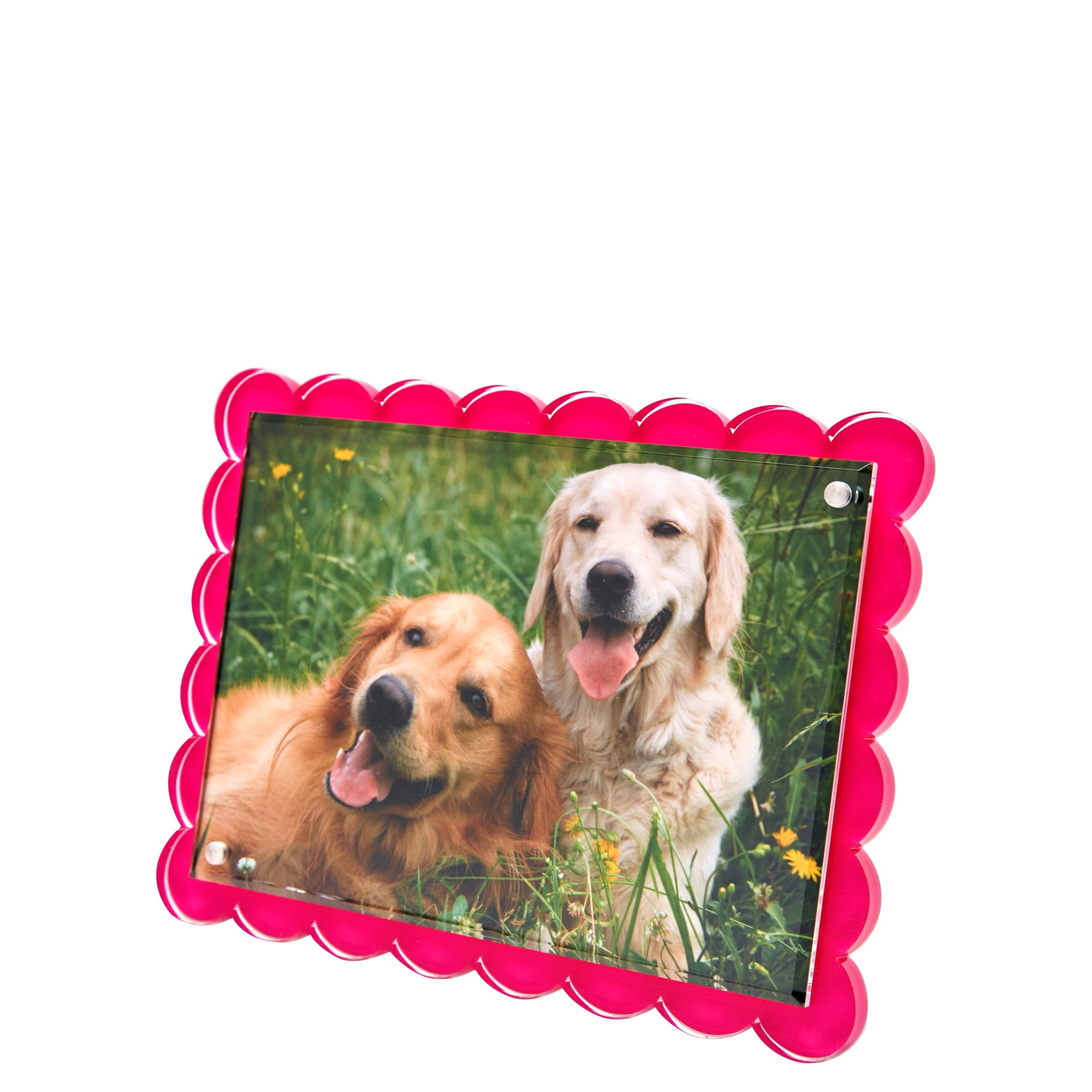 SCALLOP FRAME - PINK