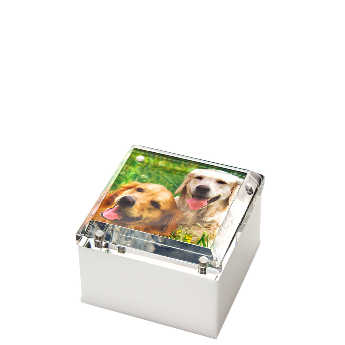 PHOTO BOX - 4" x 4" WHITE