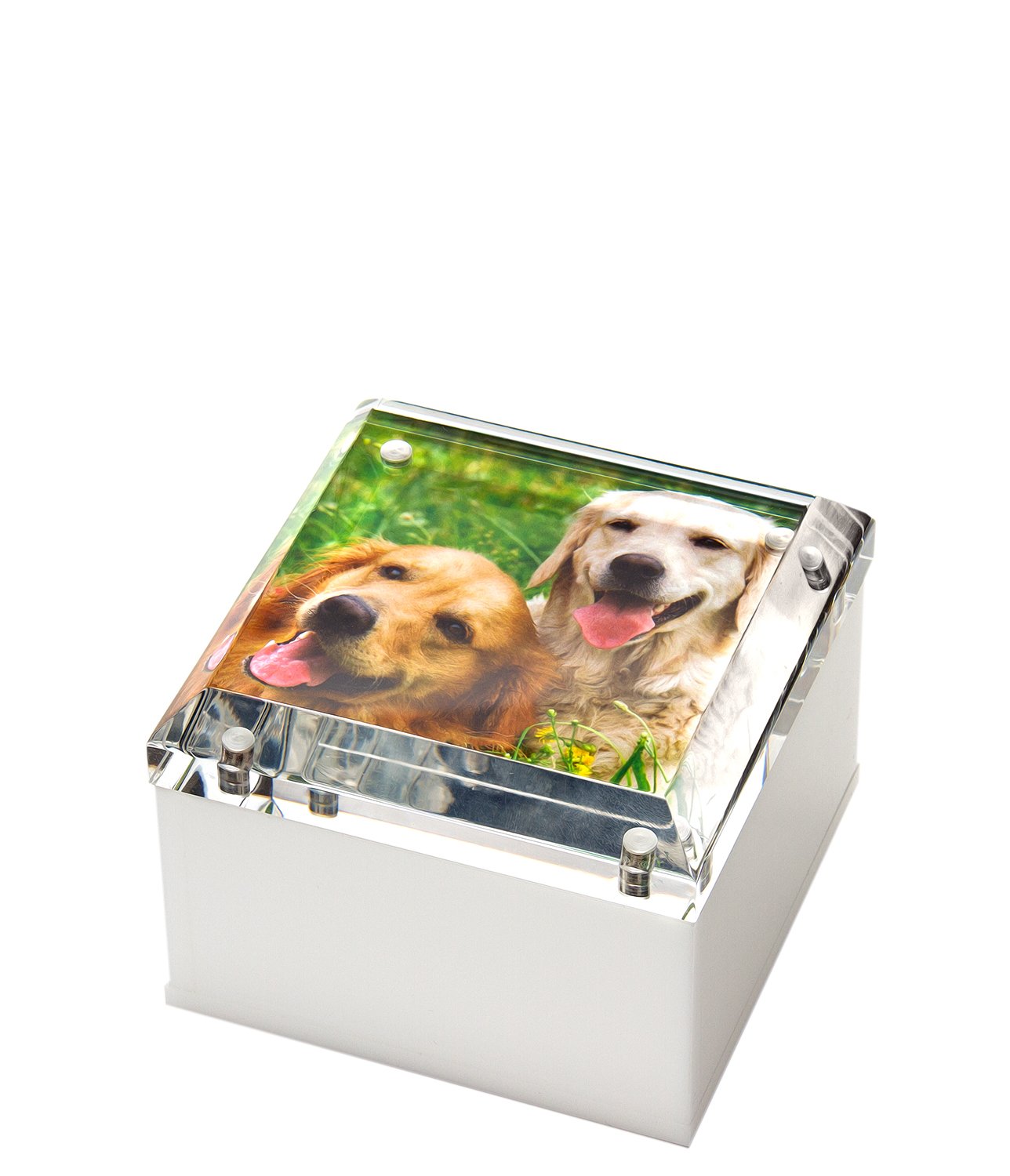 PHOTO BOX - 4" x 4" WHITE